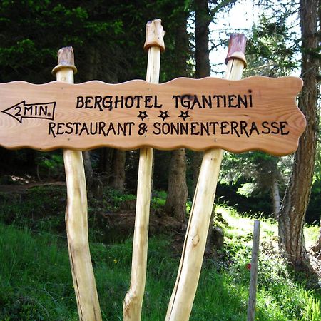 Berghotel Tgantieni Lenzerheide/Lai Exterior foto